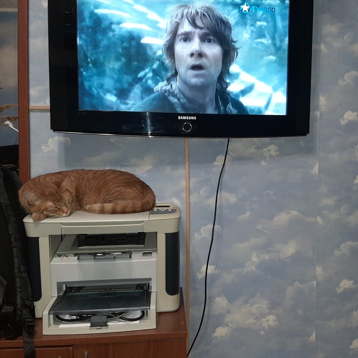 ��� �� ��������