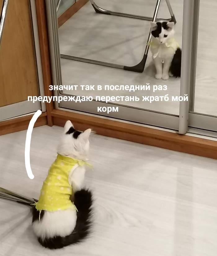   , , ,  , ,   