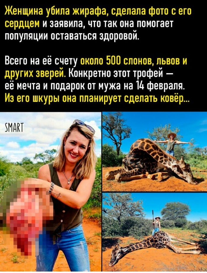   , , ,  