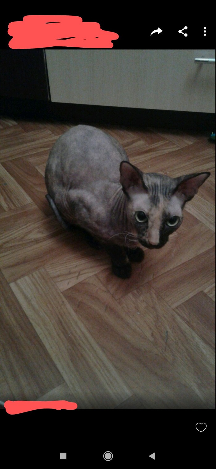 ������� ����� �����. ��� � ��� ������?