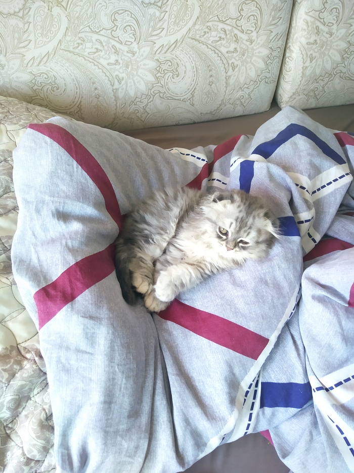 Как сделать кормушку для грызунов