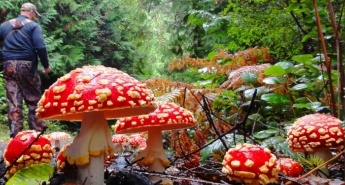 ���� �� ���� �����. ����� 14