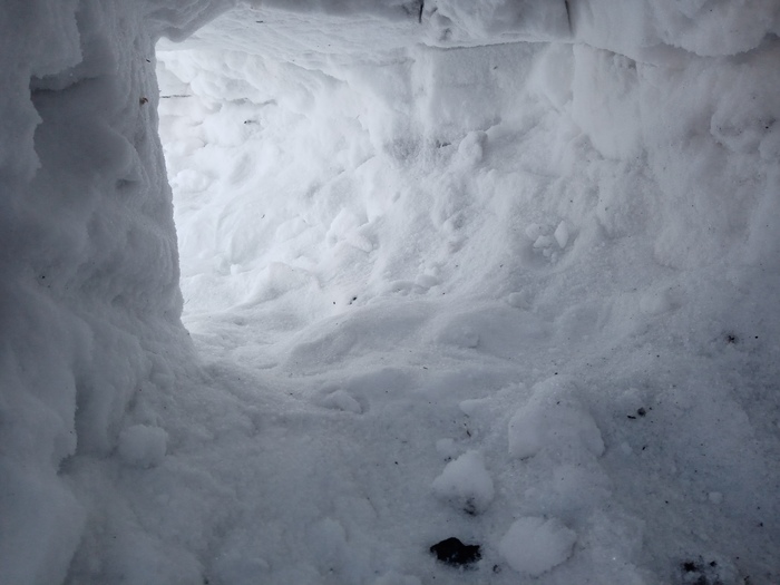 ������� ������