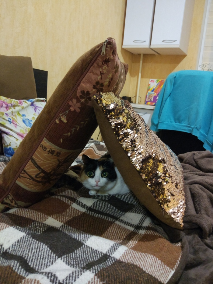 � � ������!