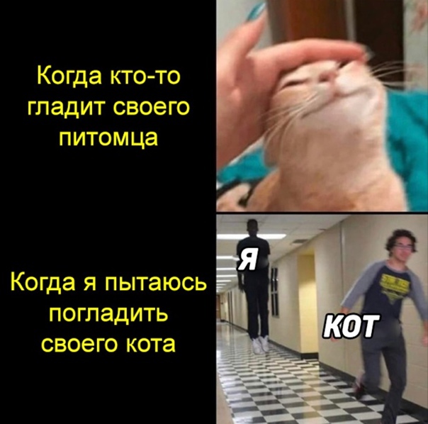 Как же жизненно