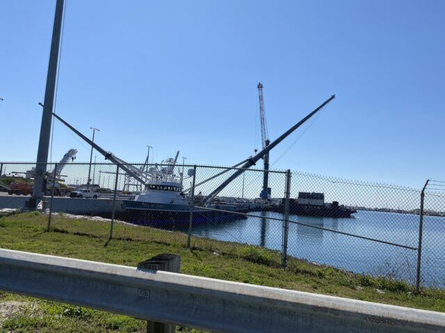 Что происходит с Ms. Tree и Ms. Chief?