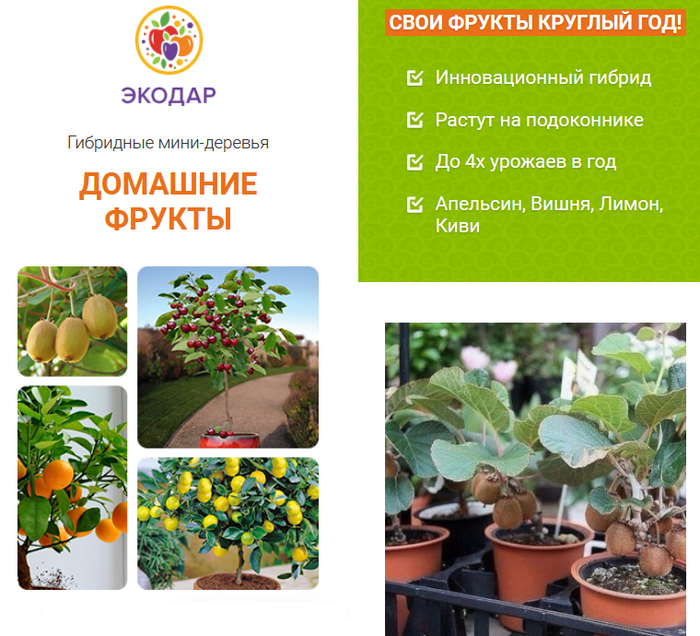 Как сделать левый чек сбербанк