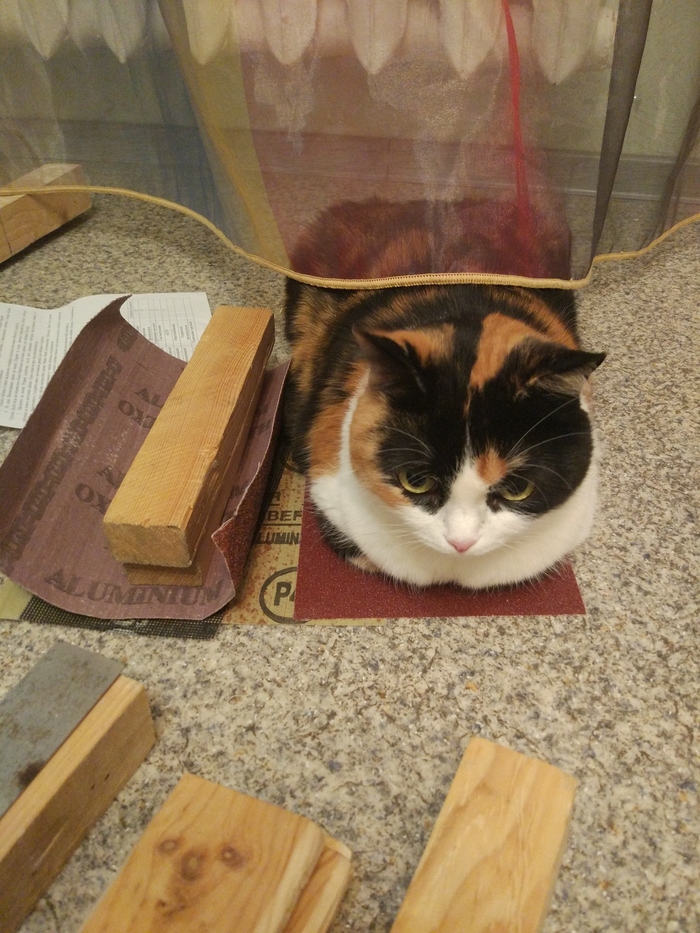 �� ��������