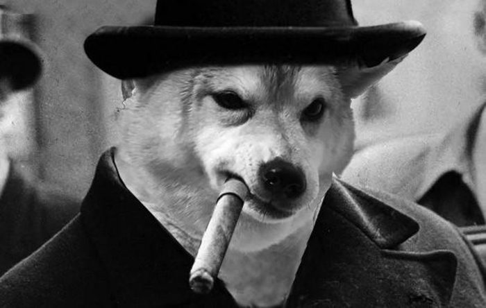 Как отучить НЕЗНАКОМУЮ собаку следить за Вами. Часть Первая