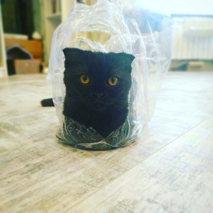 Любимый домик