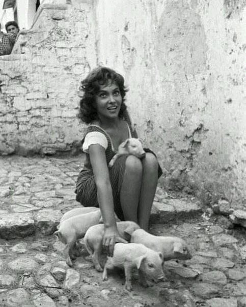 ����� ������������� � ����������, 1950-�