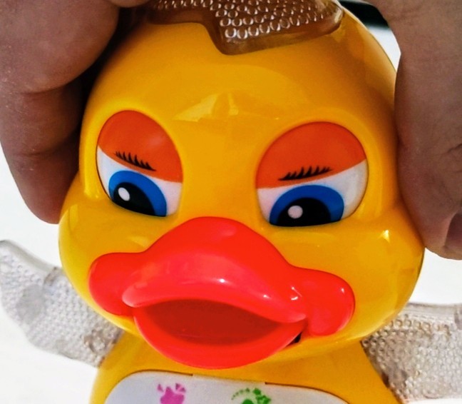 ������ ������