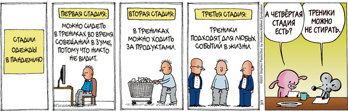 Стадии треников