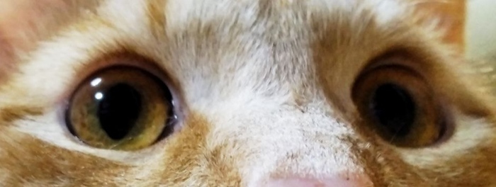 Опа, на меня кто-то подписался. Наверное будут бить...