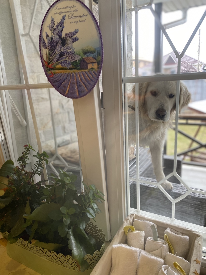 ��������� � �� ����������� ��������� ������ ,�������� ������ 