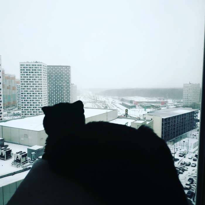 ���������� - ���...