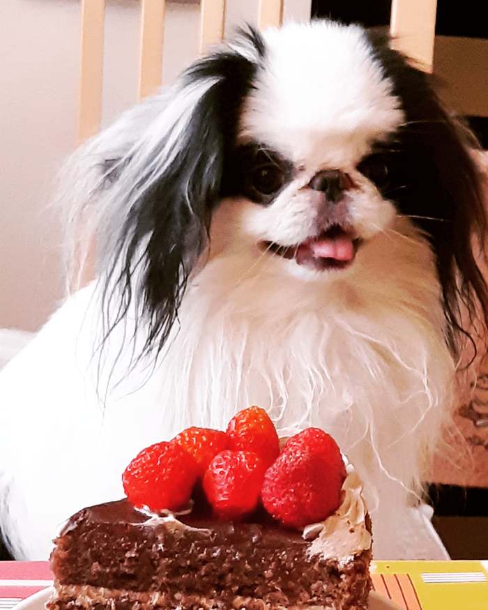 Собака - друг человека!