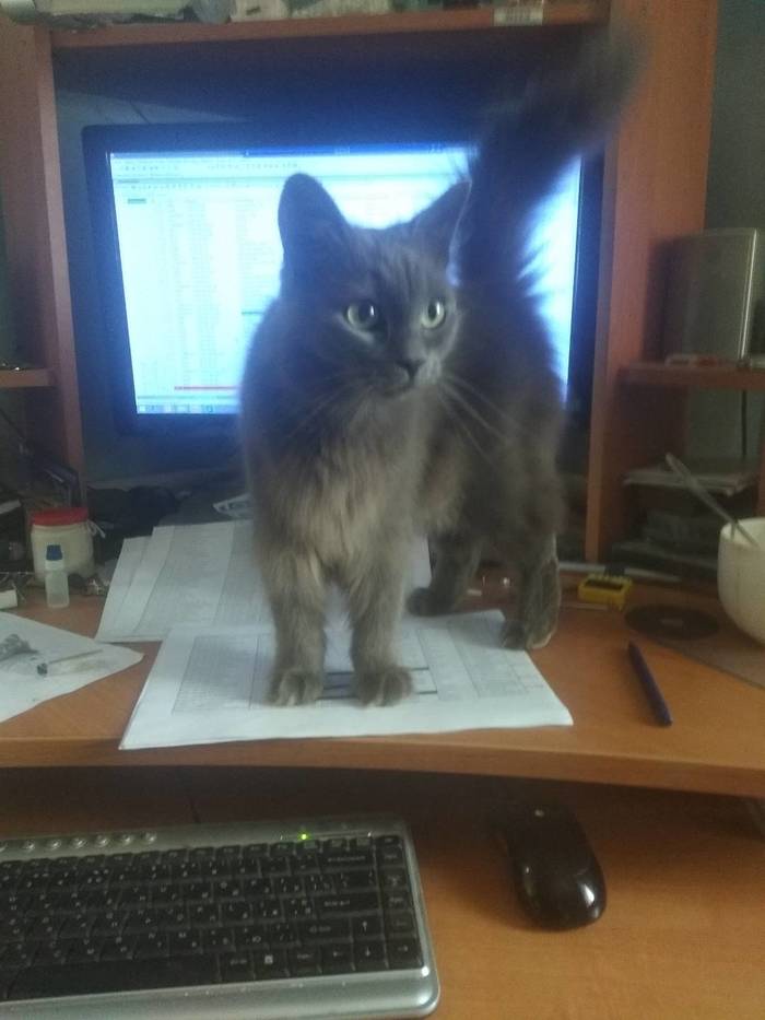 ����������� � �����