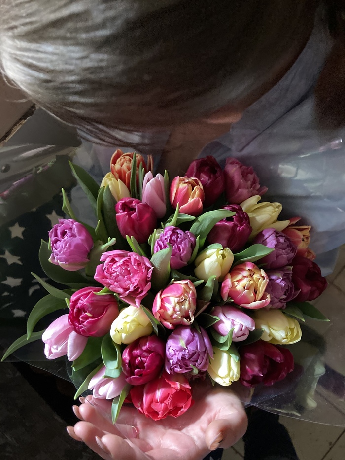 Люблю тюльпаны покупать. Жена по наивности думает, что это ей, а это я себе