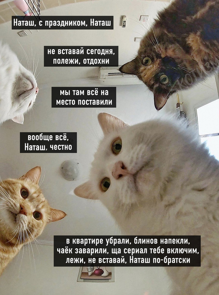 ������ ������������ � ������� ���: