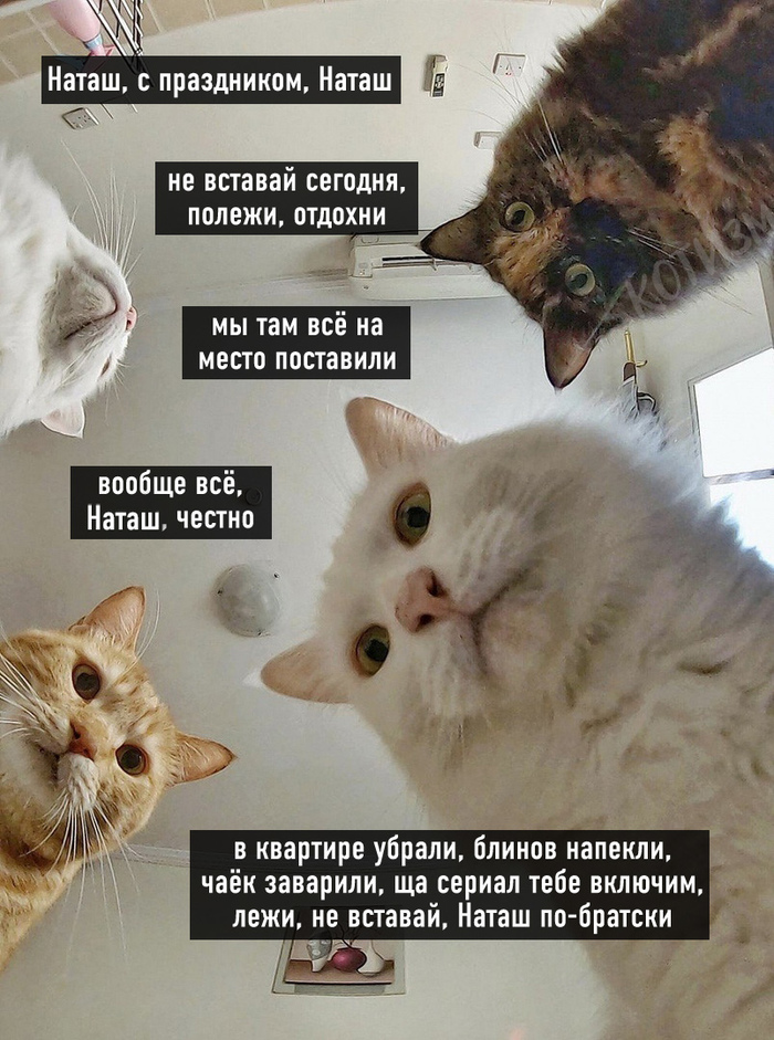 � 8 �����
