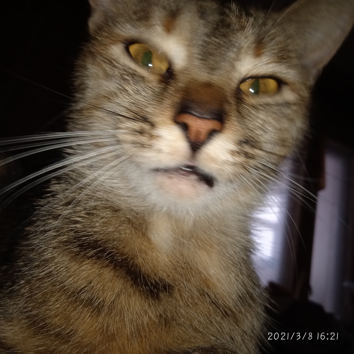     40 , 