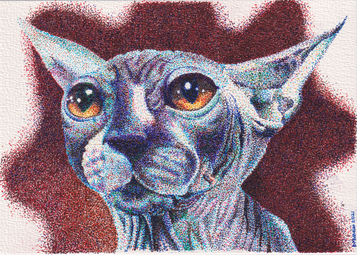 Альфа-Центавра