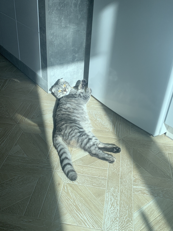 �� �������� ������!