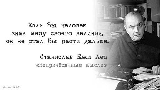 Цитата Станислава Ежи Леца «Вот ты и пробил головой стену. Что будешь…»