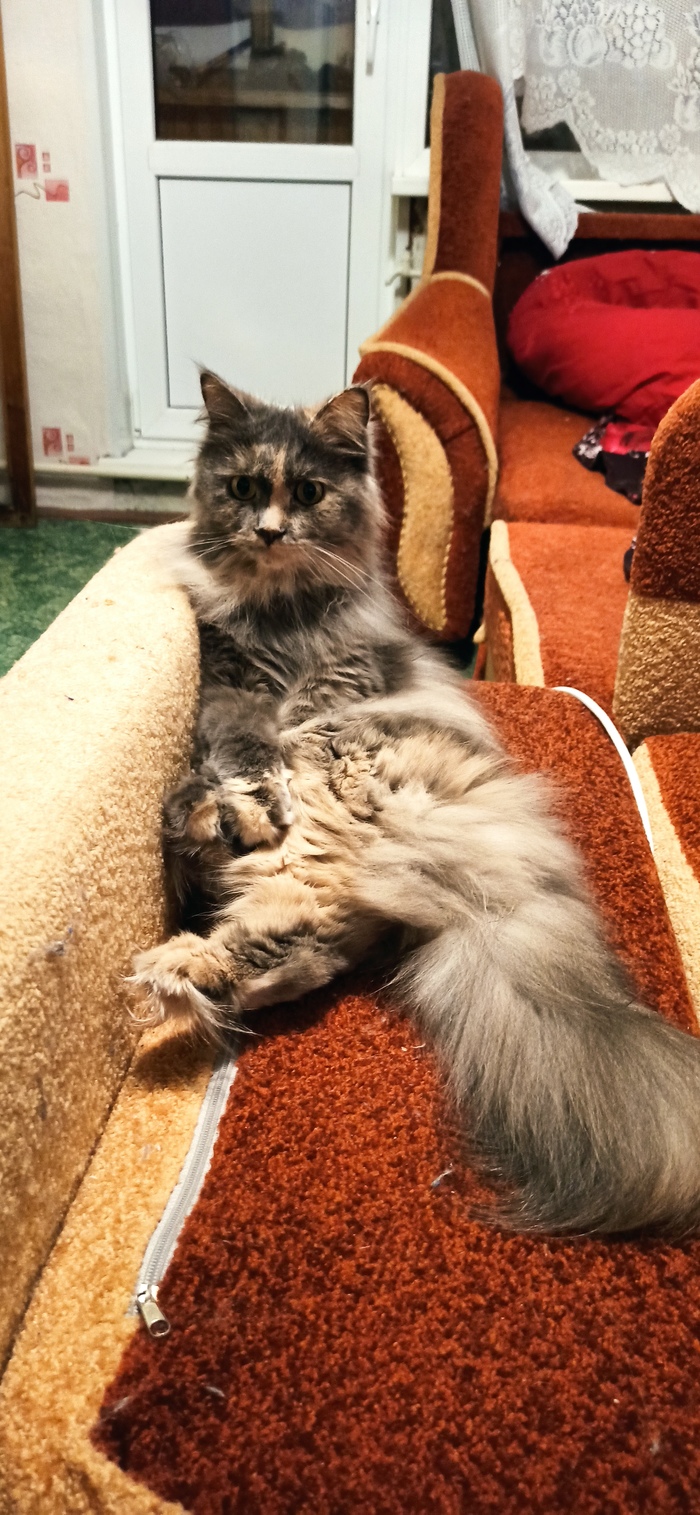 �����-��� ��� 30 ����