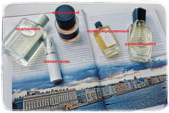 Питерским кинологам закупят имитаторы запахов