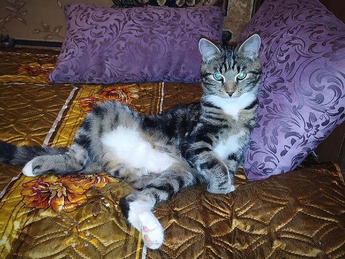 Модель дня!