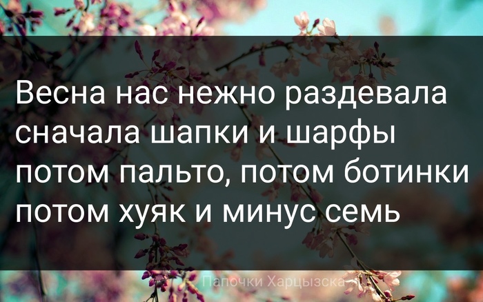 https://cs14.pikabu.ru/post_img/2021/03/13/5/1615619525179211770.jpg