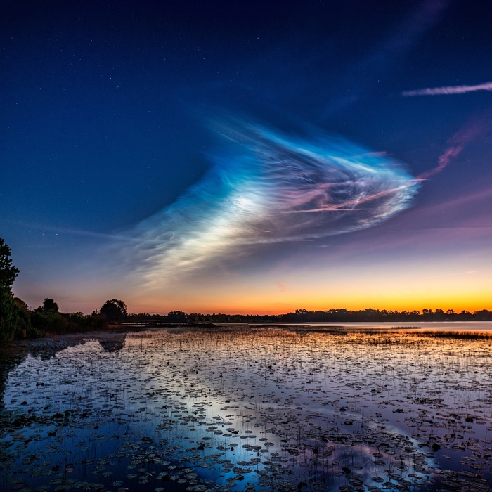   &quot;&quot; - Falcon 9, Starlink, SpaceX . : Steven Madow 14  2021