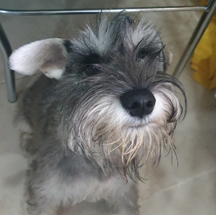 ���������� ��� ���������