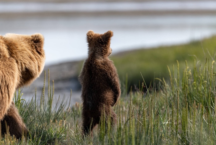 Мама! А к нам гости!