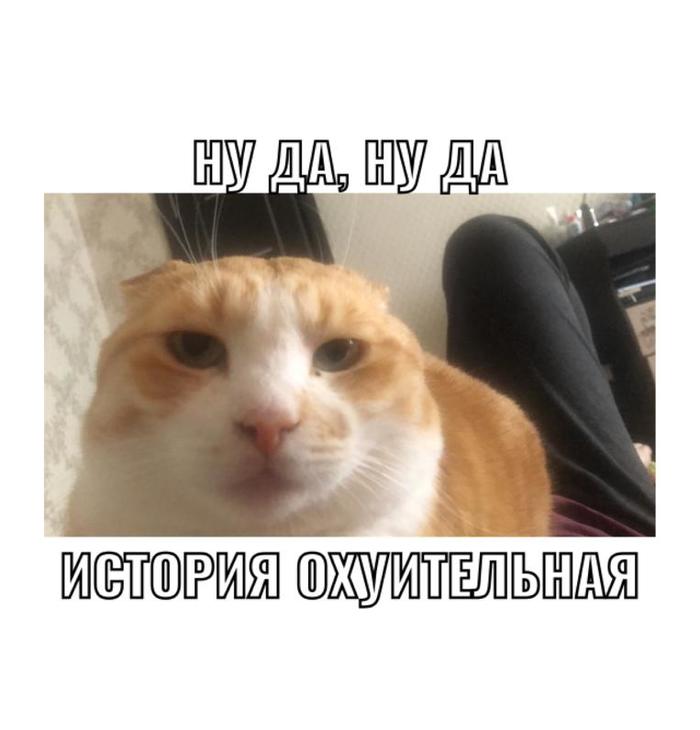 Мой котэ историям без пруфов