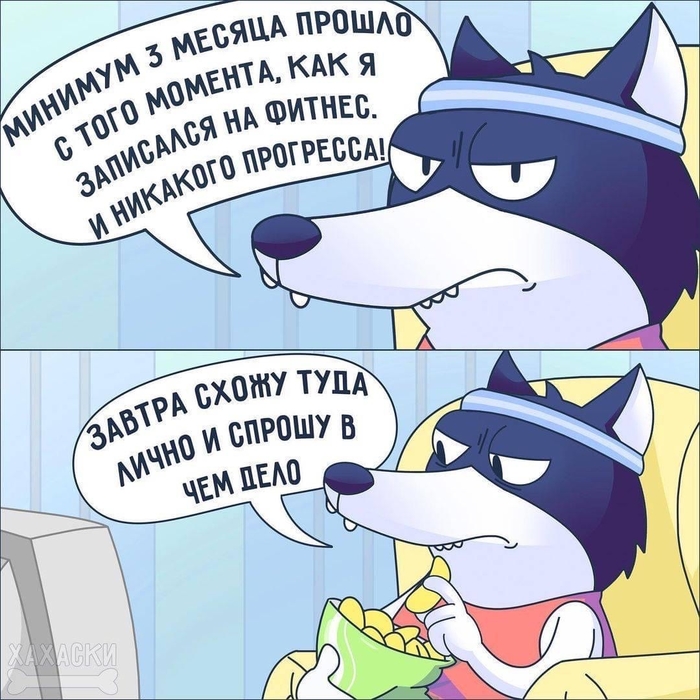 смешные истории про хаски. Смотреть фото смешные истории про хаски. Смотреть картинку смешные истории про хаски. Картинка про смешные истории про хаски. Фото смешные истории про хаски