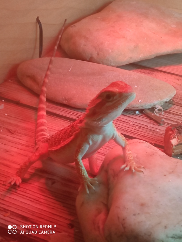 ��� �� �������