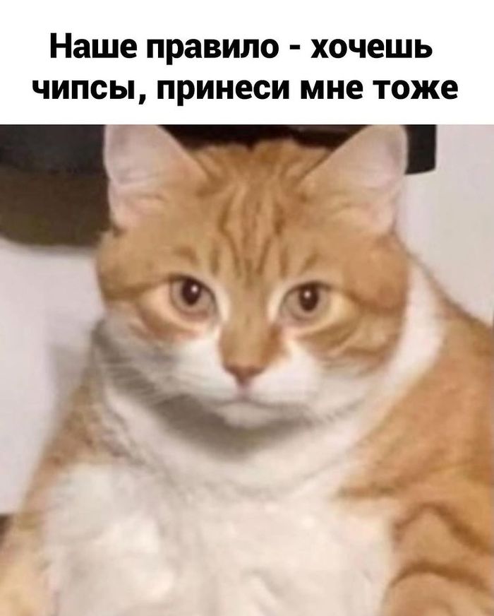 что готовить когда мамы нет дома книга. Смотреть фото что готовить когда мамы нет дома книга. Смотреть картинку что готовить когда мамы нет дома книга. Картинка про что готовить когда мамы нет дома книга. Фото что готовить когда мамы нет дома книга