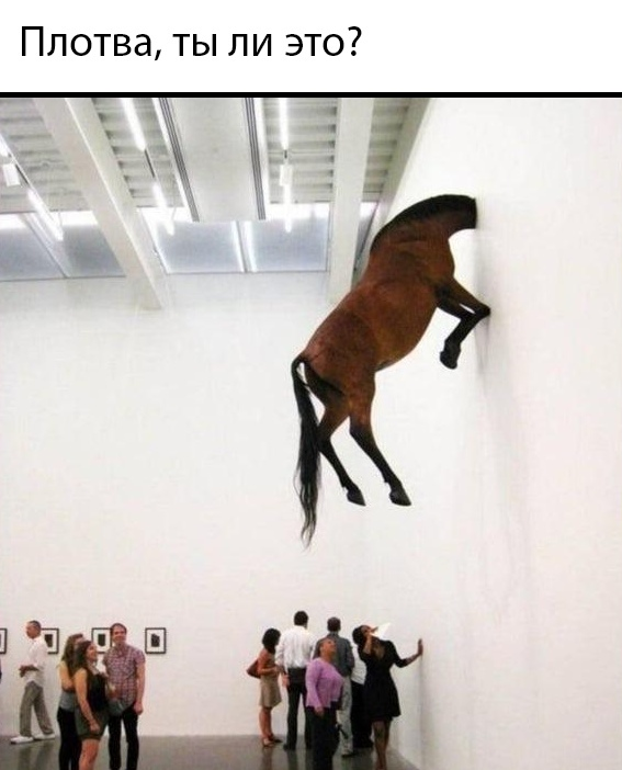 ,   ? ,  3:  , , ,  , , 