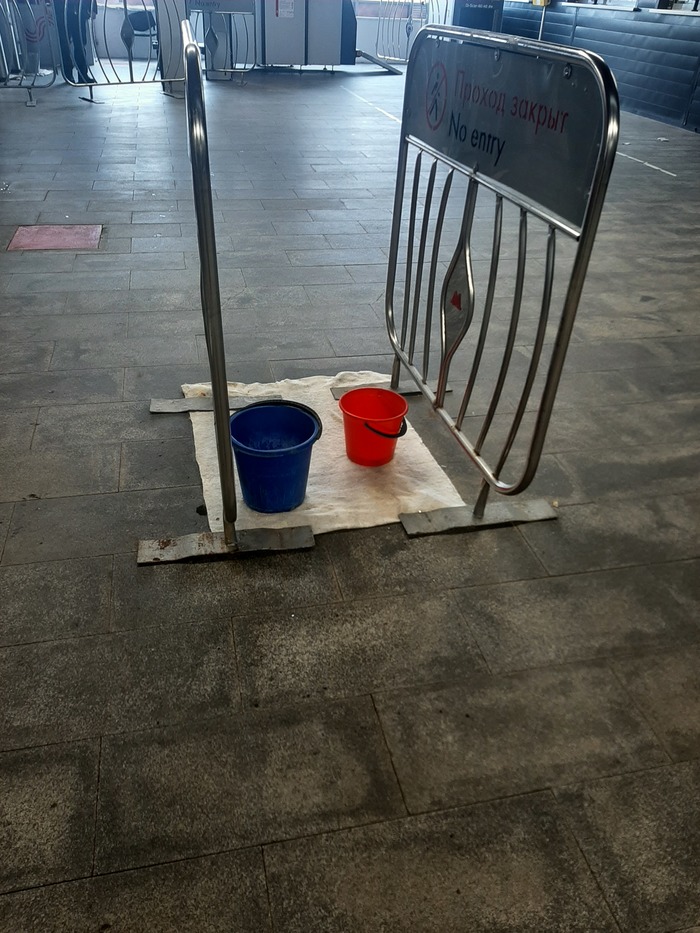 ������ ����