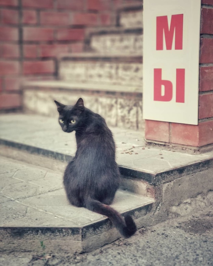 Мыкотыавыувы