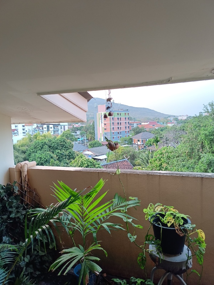 Таиланд без моря, или как тут жить за 500$ Таиланд, Юго-Восточная Азия, Иммиграция, Длиннопост