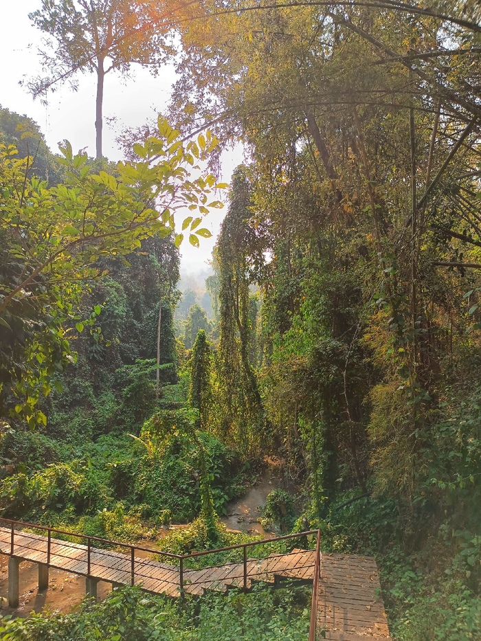 Таиланд без моря, или как тут жить за 500$ Таиланд, Юго-Восточная Азия, Иммиграция, Длиннопост