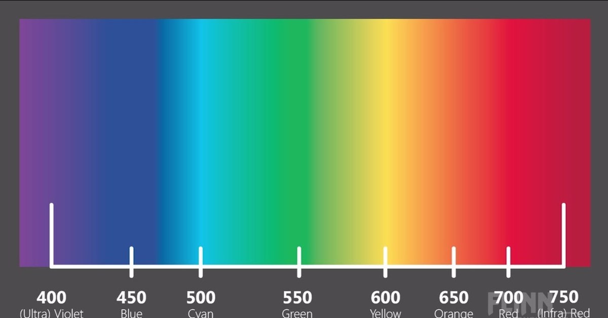 Черный цвет частота. Видимый спектр света в нанометрах. Длина волны спектра света. Спектральные цвета. Спектр света цвета.