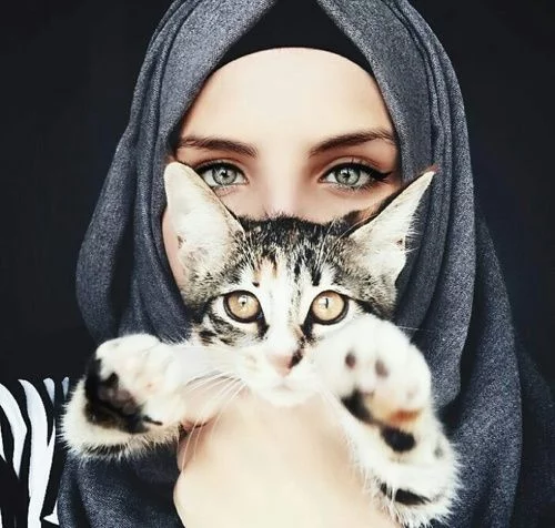 Совсем чуть-чуть о кошках в исламе Cat_cat, История, Кот, Ислам, Длиннопост Совсем чуть-чуть о кошках в исламе Cat_cat, История, Кот, Ислам, Длиннопост