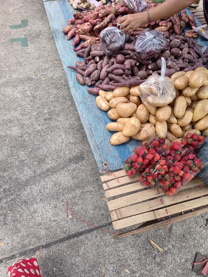 Жизнь в Таиланде за 500$. Цены и что, где, почём Таиланд, Жизнь за границей, Иммиграция, Длиннопост