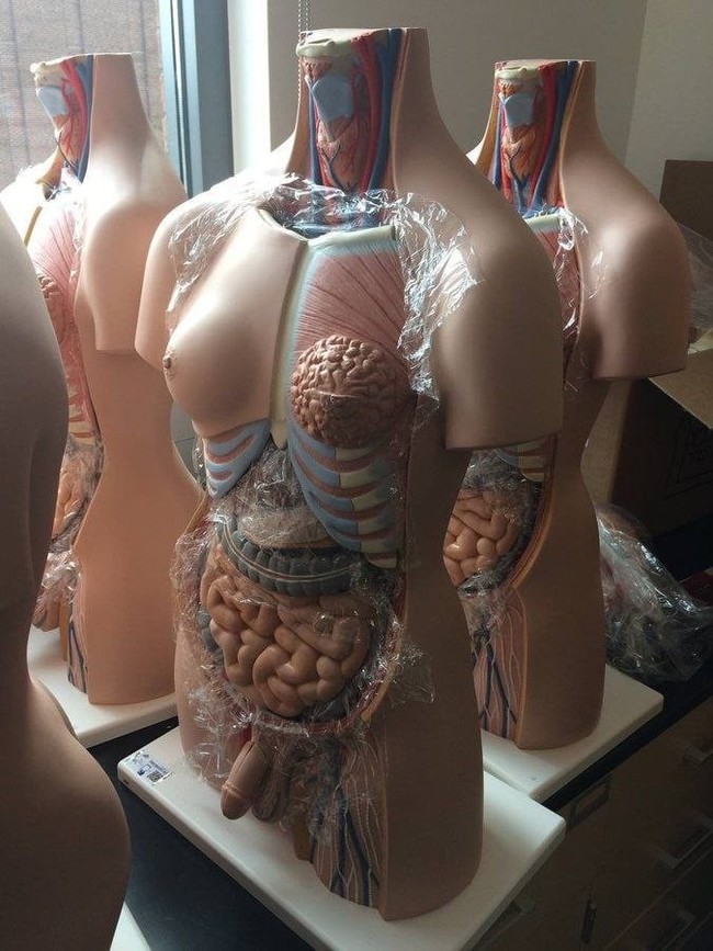 �������������� ������� ��� ��������� ������������� ���