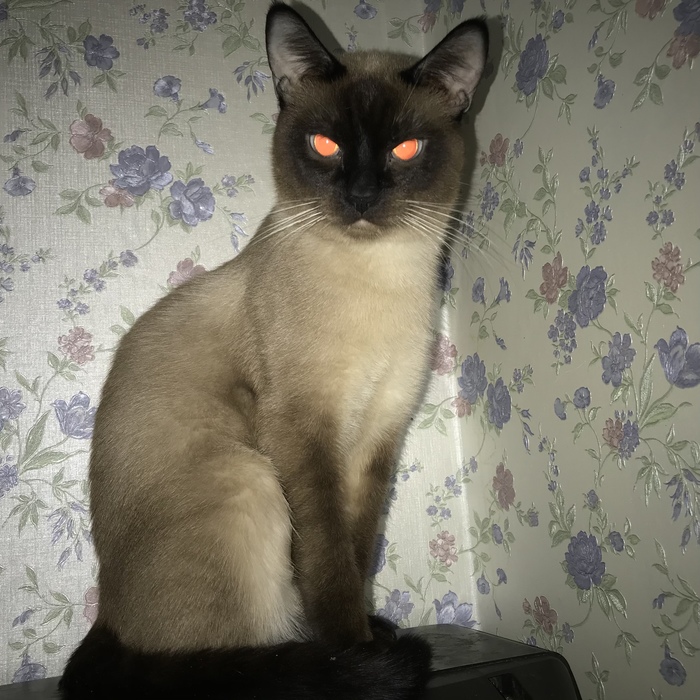 Душу продать не желаете?